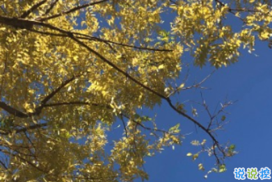 秋分早安晚安空间语录 祝您秋分如意天天欢笑1